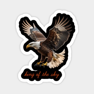 king of the sky Magnet