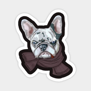 Angry Grey Frenchie Magnet