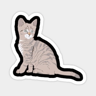 Graphic Cat Magnet