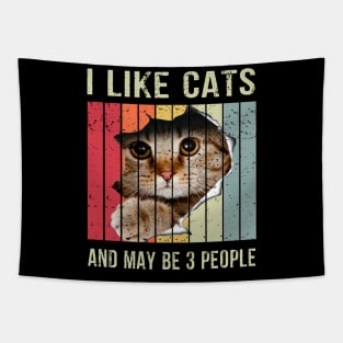 Funny Cat Design Cat Lover for Men Women Animal Introvert Cat Lover Vintage Tapestry