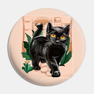 The best Black Cat themed gifts for women, men and children. Cat themed gifts for girls, Cat theme stuff for boys Pin