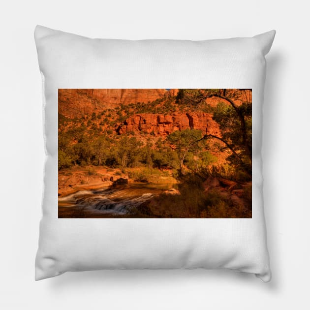 Afternoon Delight At Zion © Pillow by PrinceJohn