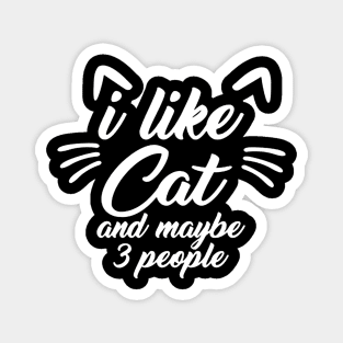 I Like kitten And Maybe 3 People Magnet