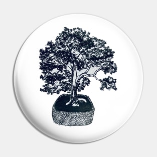 chinese elm Pin