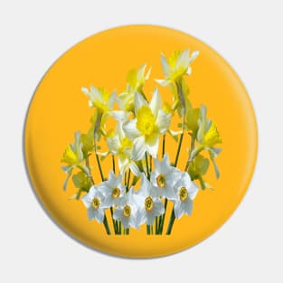 Yellow Daffodils And White Narcissi Isolated On White Pin