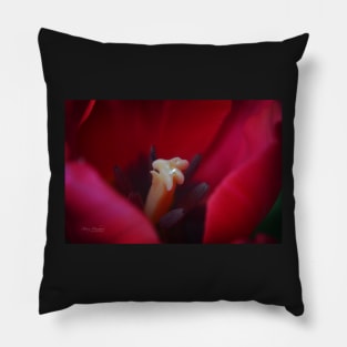 The Secret Life Of Tulips Pillow