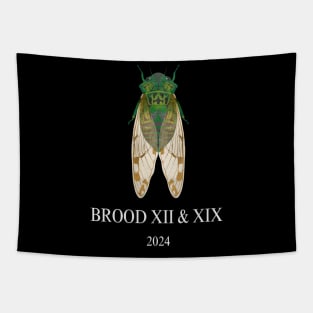 Cicada Brood XIII & XIX 2024 Tapestry