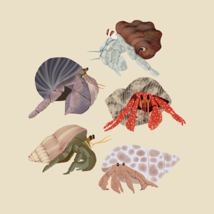 Hermit Crab T Shirts Teepublic