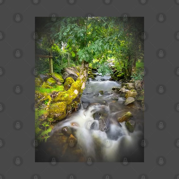 Lake District Waterfall by Graz-Photos