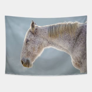 Smiling Horse Tapestry