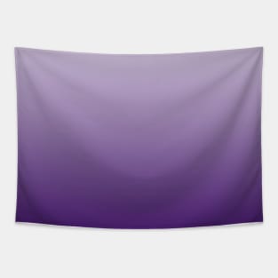 preppy chic minimalist egant abstract lilac purple ombre Tapestry