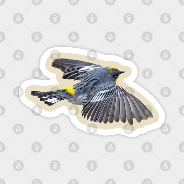 Yellow Rumped Warbler Magnet by lauradyoung