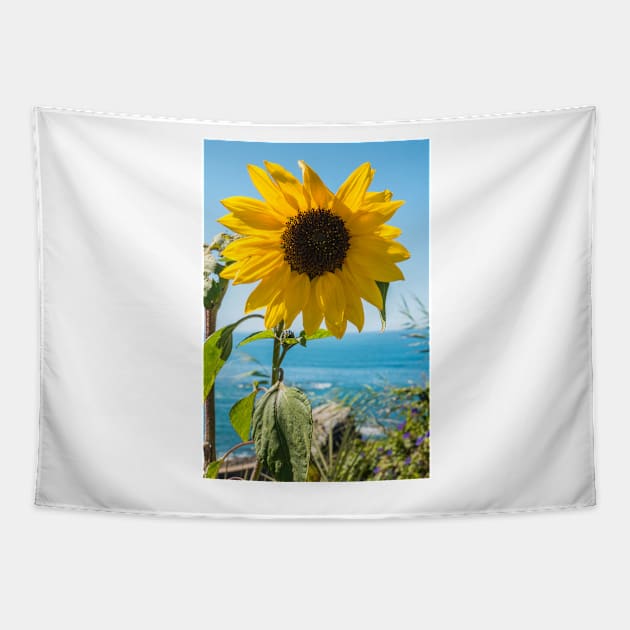 Sunflower field. Sunflower with blue sky and the sea in backgorund. Summer background, bright yellow sunflower over blue sky. Landscape with sunflower field over cloudy blue sky. Tapestry by AnaMOMarques