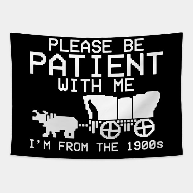 Please Be Patient With Me I'm From The 1900s Tapestry by maddude