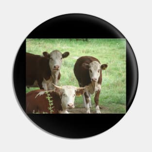 Three Brown Spotted Cows Pin