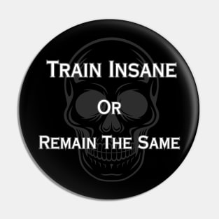 Train Insane Or Remain The Same Pin