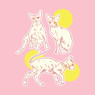 Hairless Cat Family T-Shirt