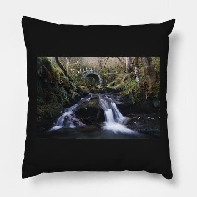 Magical Fairy Bridge Pillow by TMcG72