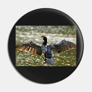 Spread your wings - Cormorant Pin