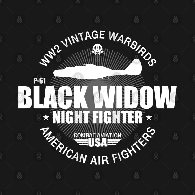 P-61 Black Widow by TCP