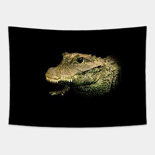 Crocodile Tapestry