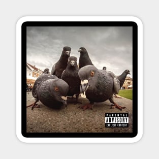 Pigeons Album Cover Magnet