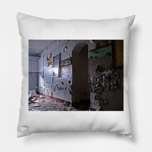 Scourged Pillow