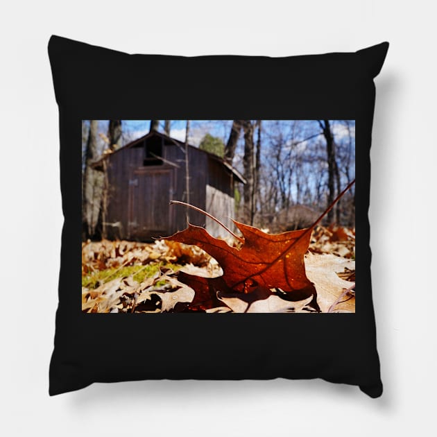 Fallen Oak Leaf Pillow by 1Redbublppasswo