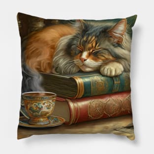Books, Tea and a Cat Pillow