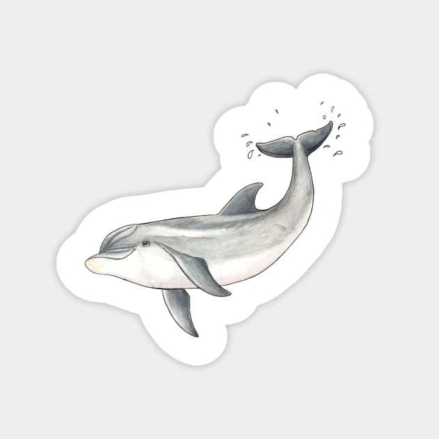 Baby dolphin Magnet by chloeyzoard