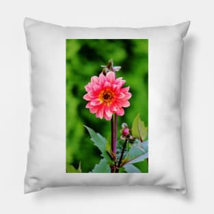 A Pink Flower Pillow