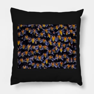 BUSY BEE COLOUR Pillow