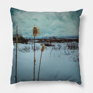 Winter's Dramatic Ballet V1 Pillow