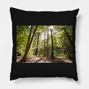 Gorge Trail Pillow