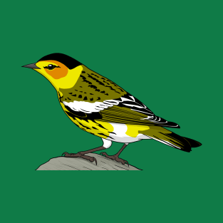 Cape May Warbler T-Shirt