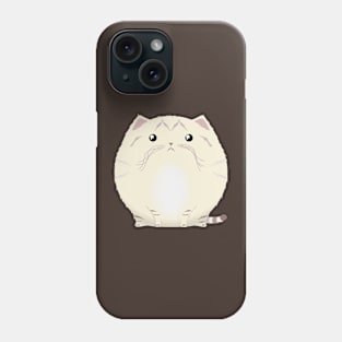 Sfurical round sand cat Phone Case