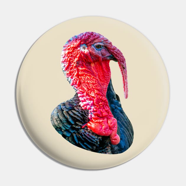 Tom Turkey Pin by dalyndigaital2@gmail.com