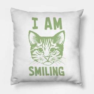 I Am Smiling Sage Pillow