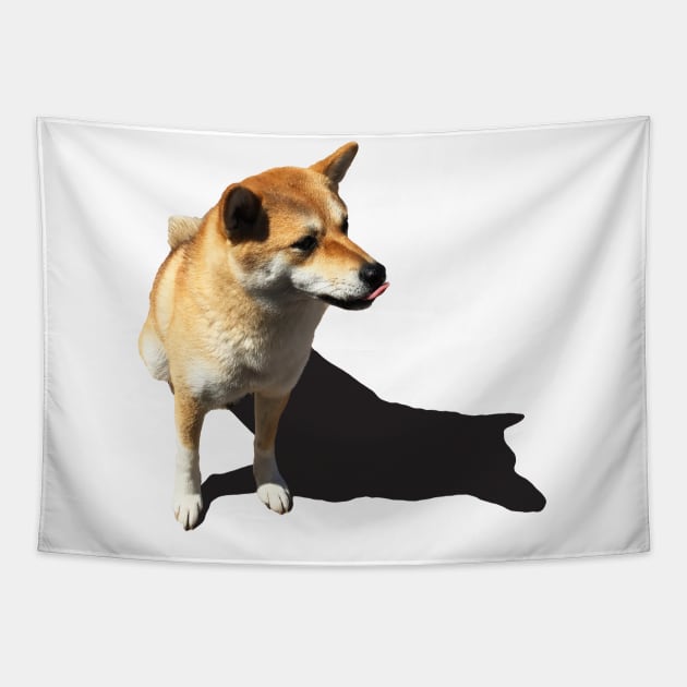 Lilly the Shiba Inu Tongue in the Sun Tapestry by shibalilly