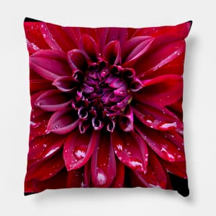 Dahlia Pillow