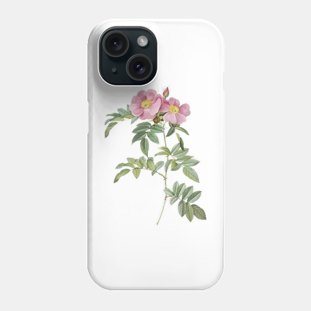 Prairie rose Phone Case by maryamazhar7654