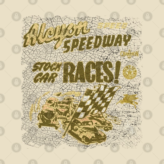 Stock Car Races by Midcenturydave