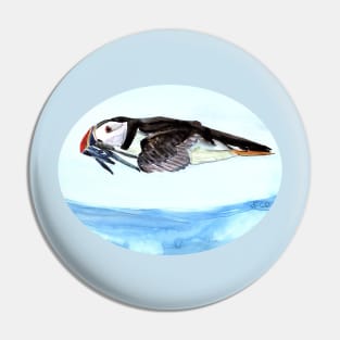 Atlantic Puffin flying over the ocean Pin