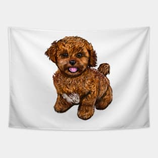 Cavapoochon Cavapoo Cavoodle - cute friendly cavalier King Charles spaniel Bichon frise Tapestry