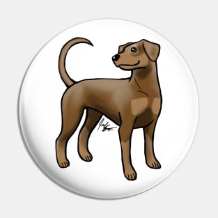 Dog - Doberman Pinscher - Brown and Tan Natural Pin