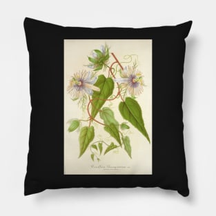 Passion Flower - Passion Vine botanical illustration Pillow