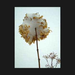 Hydrangea in the Snow T-Shirt