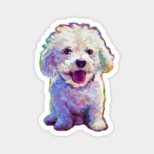 Cute  Bichon Frise Sticker Magnet