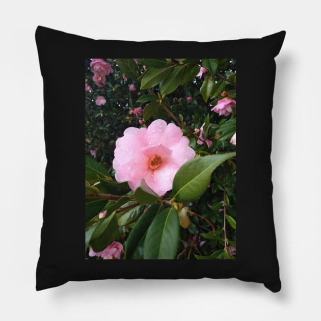 Light pink flower Pillow by Sophprano