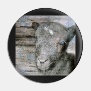 Lambkin | Cute lamb Pin